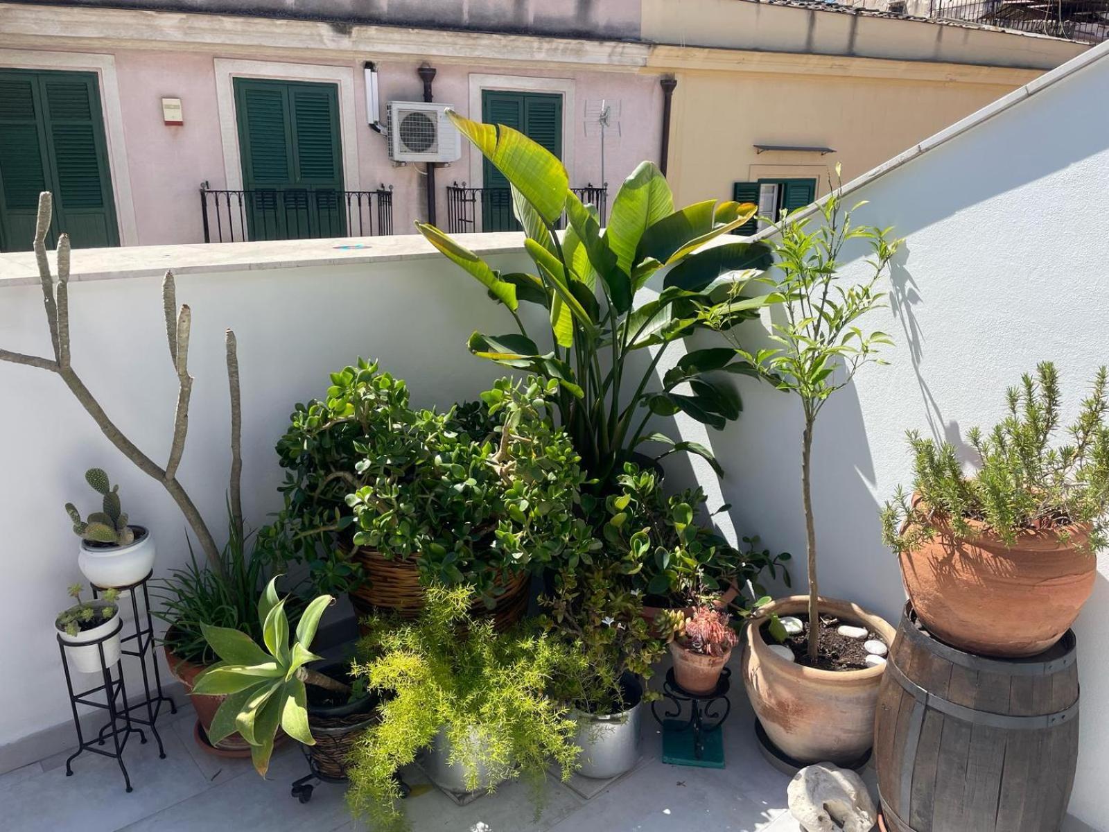 Terrazza Alla Cala باليرمو المظهر الخارجي الصورة